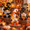 Crochet Halloween Gnome Decor
